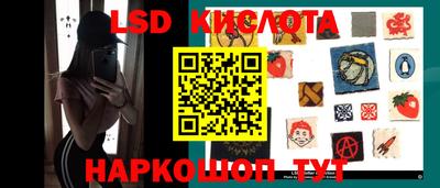 шишки Можга