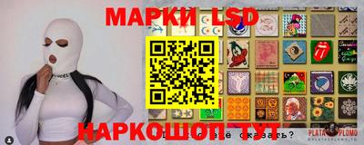 шишки Можга