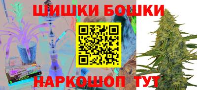 индика Можайск