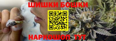 индика Можайск