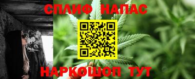 шишки Можга