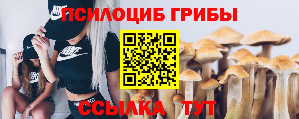 сколько стоит  Псилоцибиновые грибы Psilocybine cubensis  Вход с VPN  Среднеуральск 