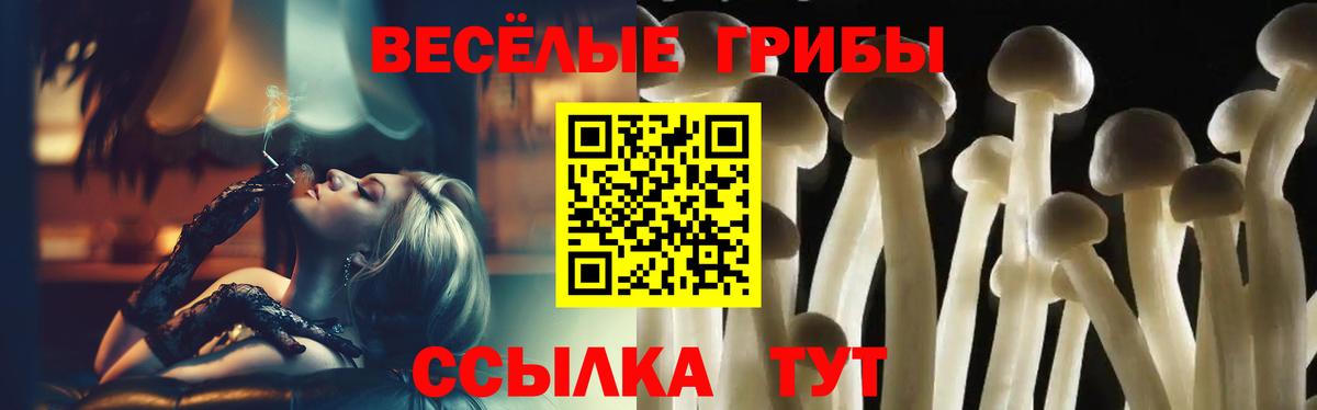 Галлюциногенные грибы Psilocybine cubensis Среднеуральск